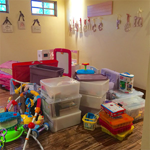 Setting Up Playrooms for Success!